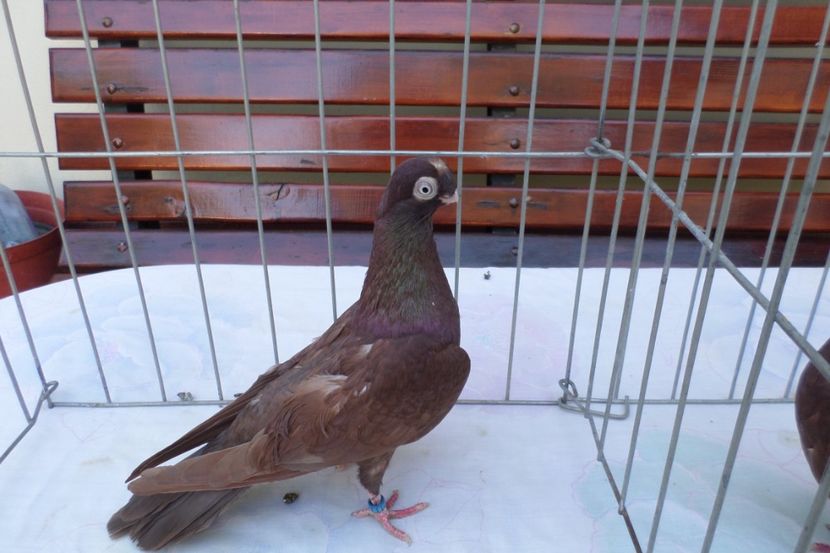 SAM_1400 - POZE 2019