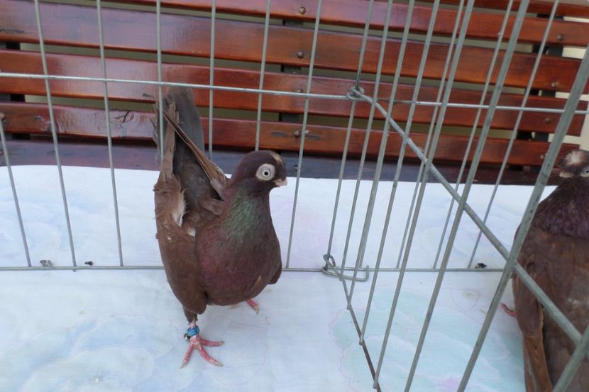SAM_1402 - POZE 2019