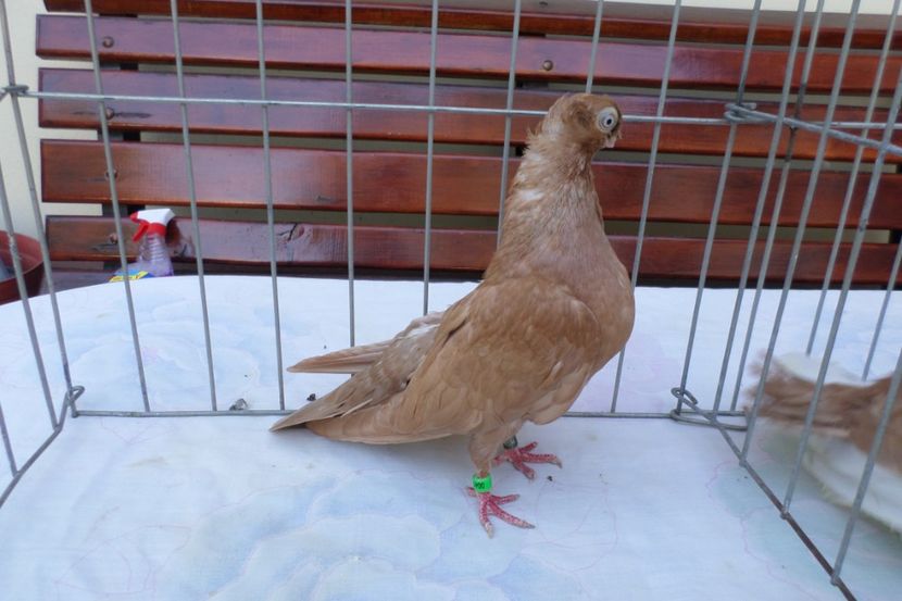 SAM_1416 - POZE 2019