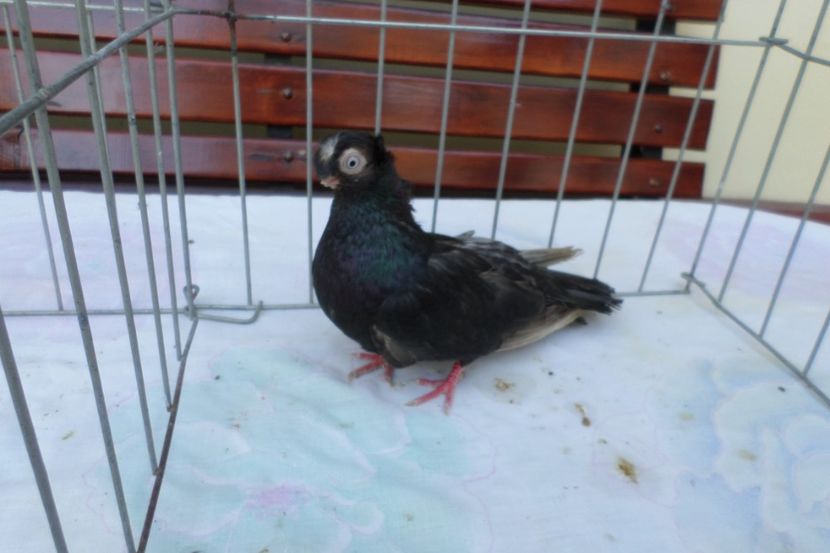 SAM_1450 - POZE 2019