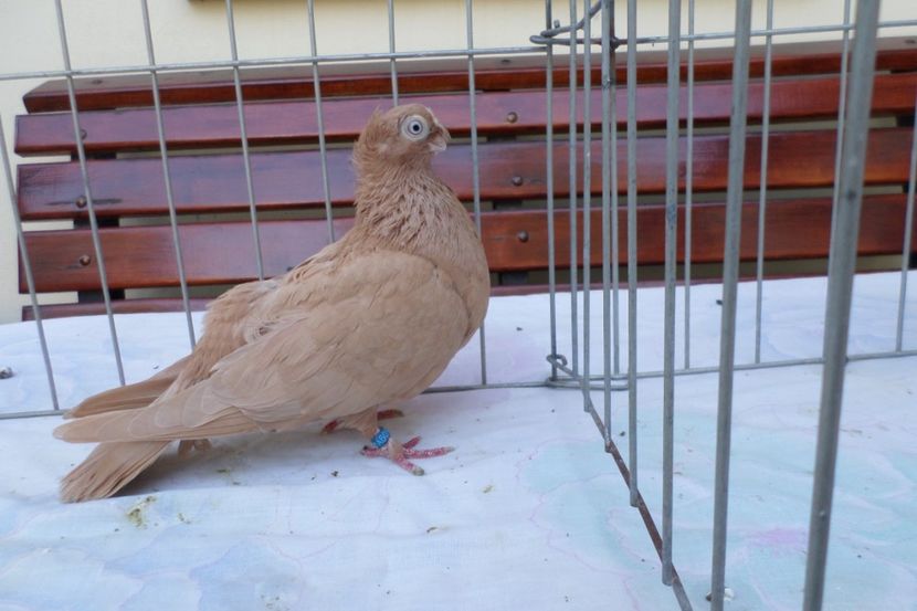 SAM_1461 - POZE 2019