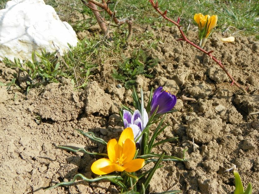 30 mart (25) - z-Dobarland 2019