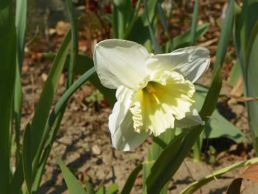 30 mart (45) - Primavara 2019