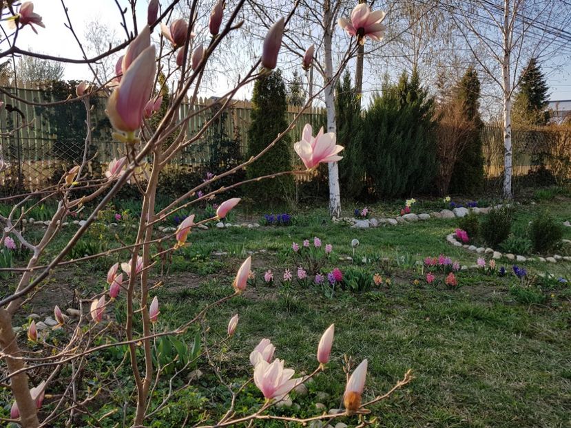  - 2019 Gradina
