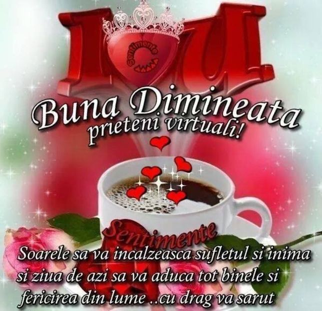 Rico Cristea - Dunarea Galati Istorie Part 2