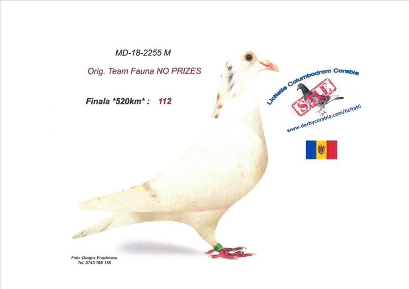 IMG-20181017-WA0005 - Masculi -  Males