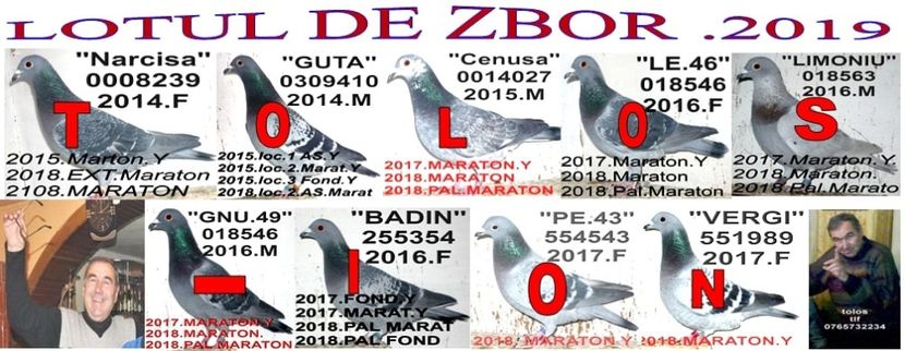 2 LOT - 2 MATCA 2019 ZBURATORI