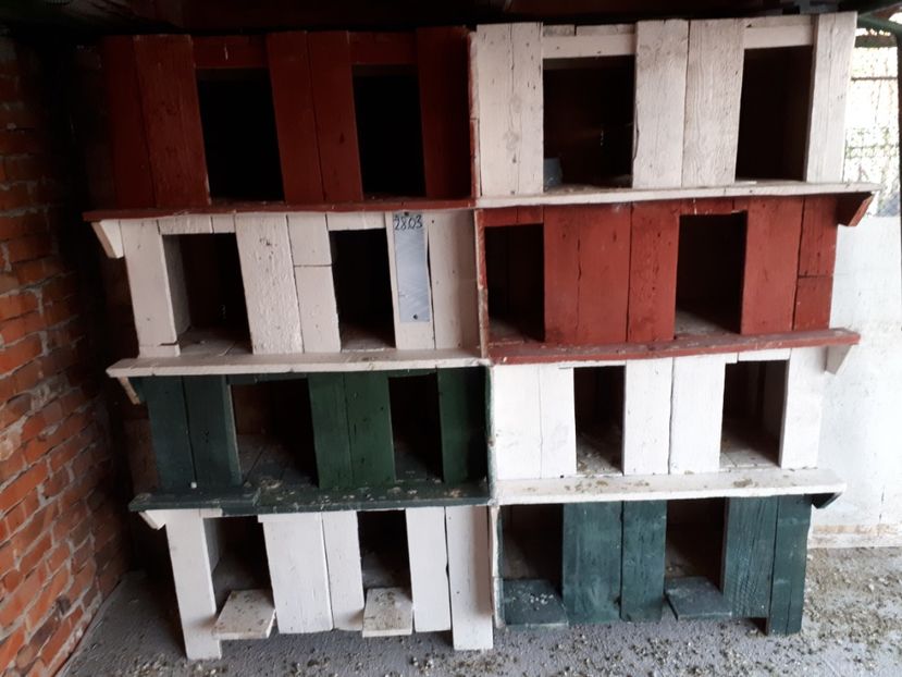  - voliera porumbeilor