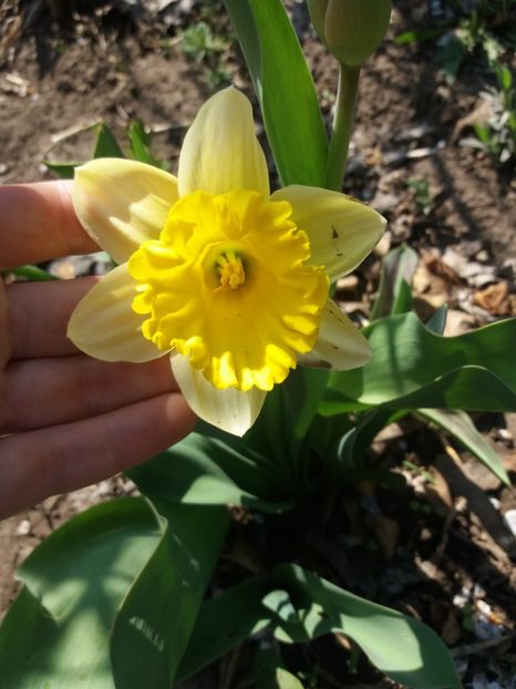  - Achizitii toamna 2018