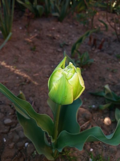  - Achizitii toamna 2018