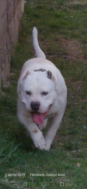 Screenshot_20190402_231849_com.android.gallery3d - Simba