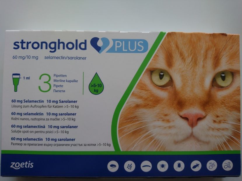 STRONGHOLD PLUS 60 MG 5-10 KG 50,5 RON - STRONGHOLD PLUS 60 MG 5 - 10 KG - 50 RON SI 50 DE BANI