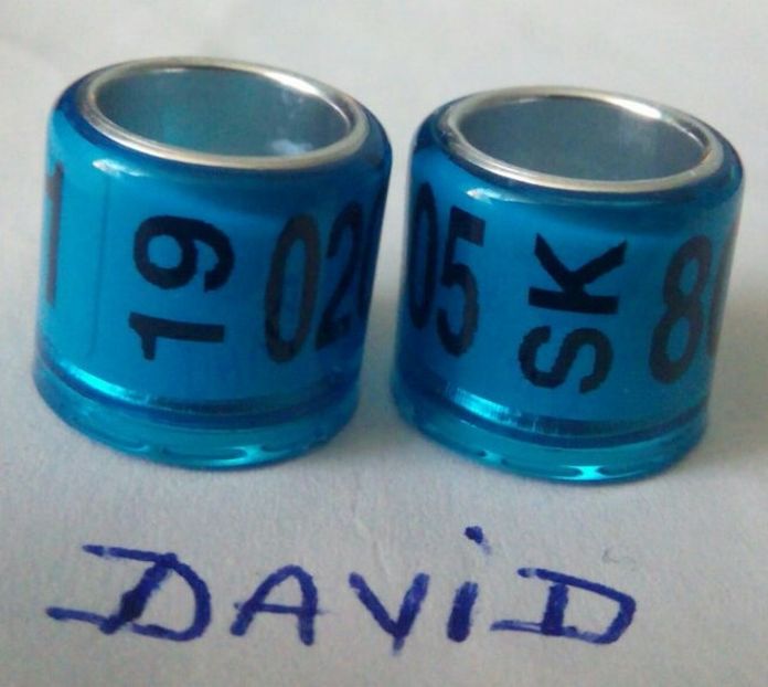  - Inele porumbei 2019 de vanzare