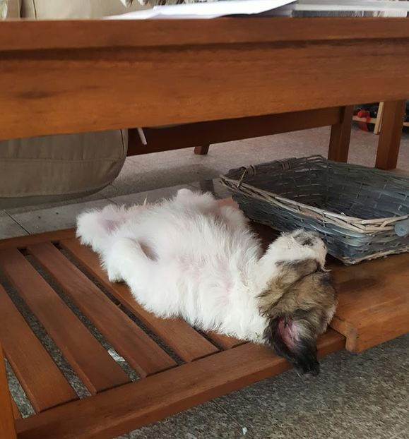 Kira - Kira si Haiduc Ciobanesc mioritic