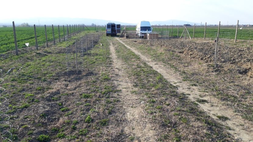  - Livada 1 anul ll 2019