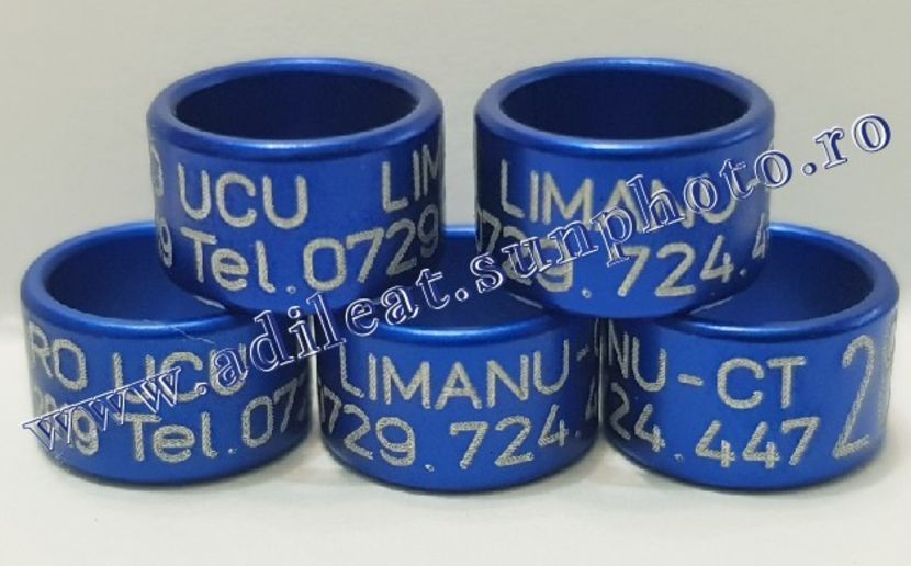 TextArt_190403222352 - 1-A-INELE PERSONALIZATE 2019