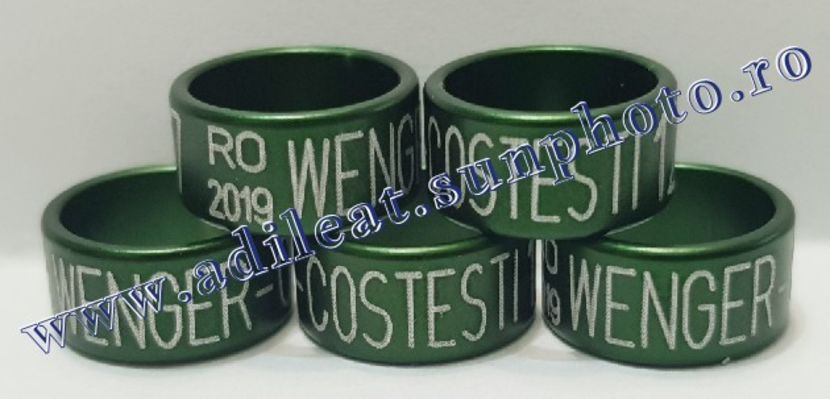 TextArt_190403222316 - 1-A-INELE PERSONALIZATE 2019