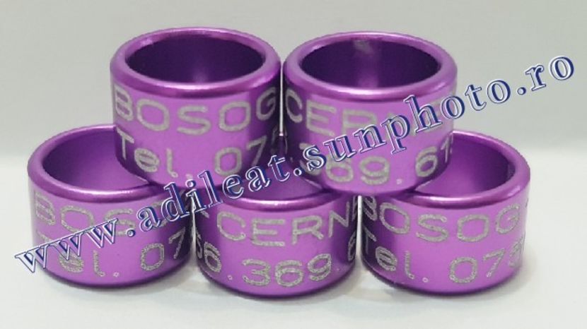 TextArt_190403222328 - 1-A-INELE PERSONALIZATE 2019