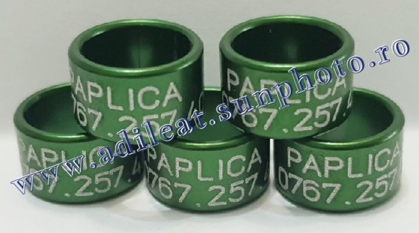 TextArt_190403222423 - 1-A-INELE PERSONALIZATE 2019