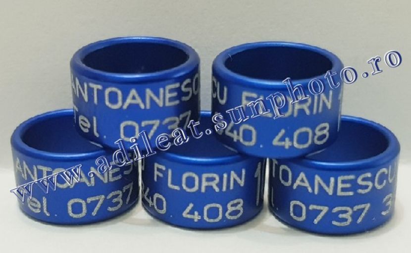 TextArt_190403222413 - 1-A-INELE PERSONALIZATE 2019