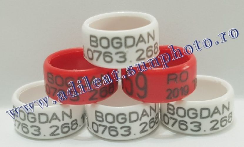 TextArt_190403222729 - 1-A-INELE PERSONALIZATE 2019