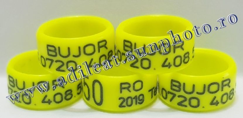 TextArt_190403222739 - 1-A-INELE PERSONALIZATE 2019