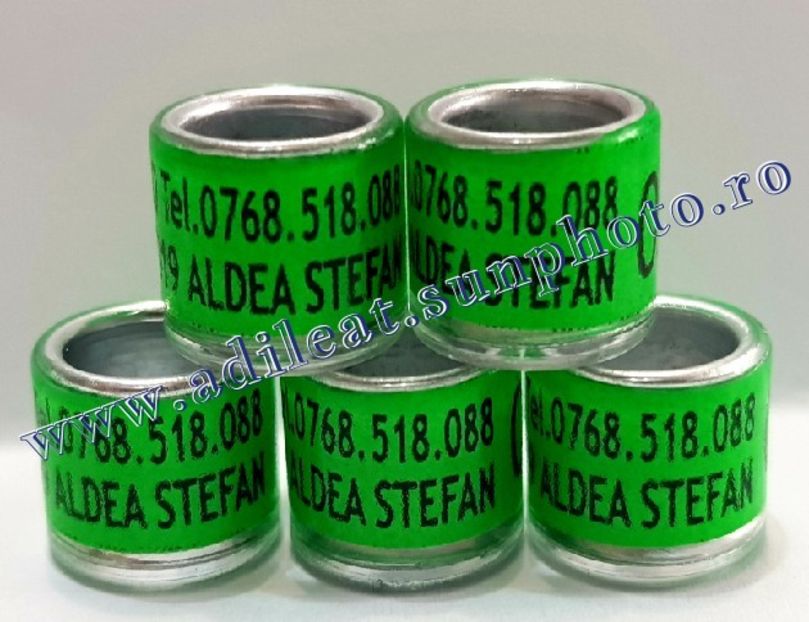 TextArt_190403222807 - 1-A-INELE PERSONALIZATE 2019