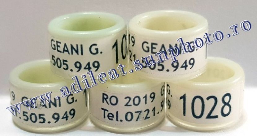 TextArt_190403222817 - 1-A-INELE PERSONALIZATE 2019