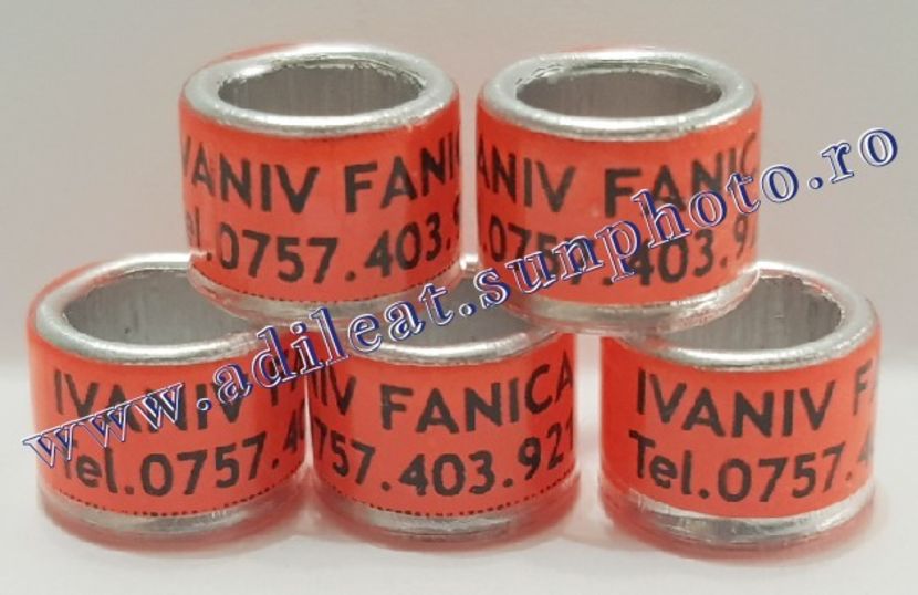 TextArt_190403222747 - 1-A-INELE PERSONALIZATE 2019