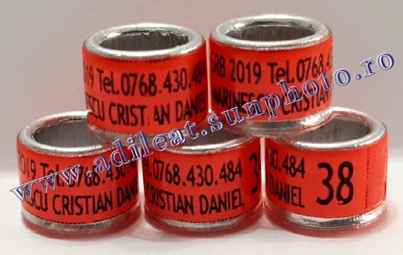 TextArt_190403222757 - 1-A-INELE PERSONALIZATE 2019