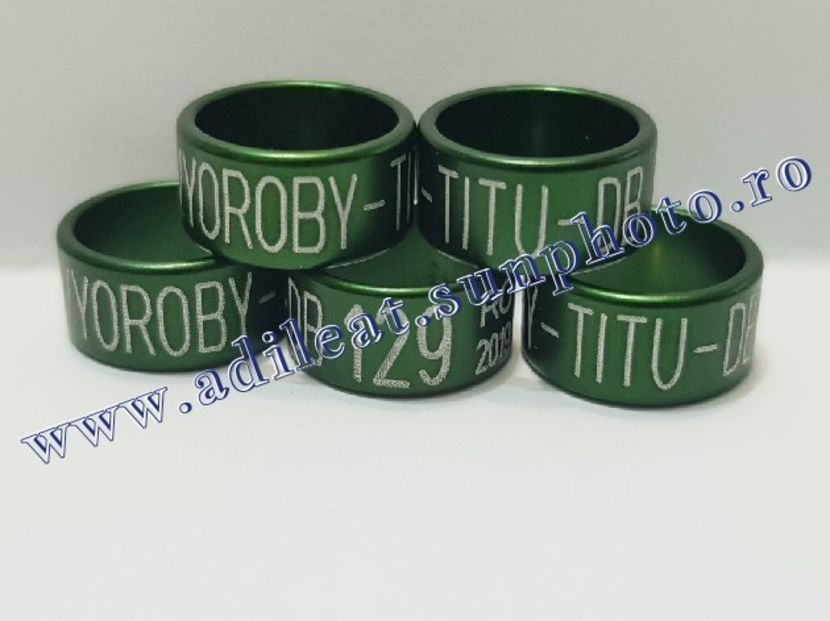 TextArt_190403222247 - 1-A-INELE PERSONALIZATE 2019