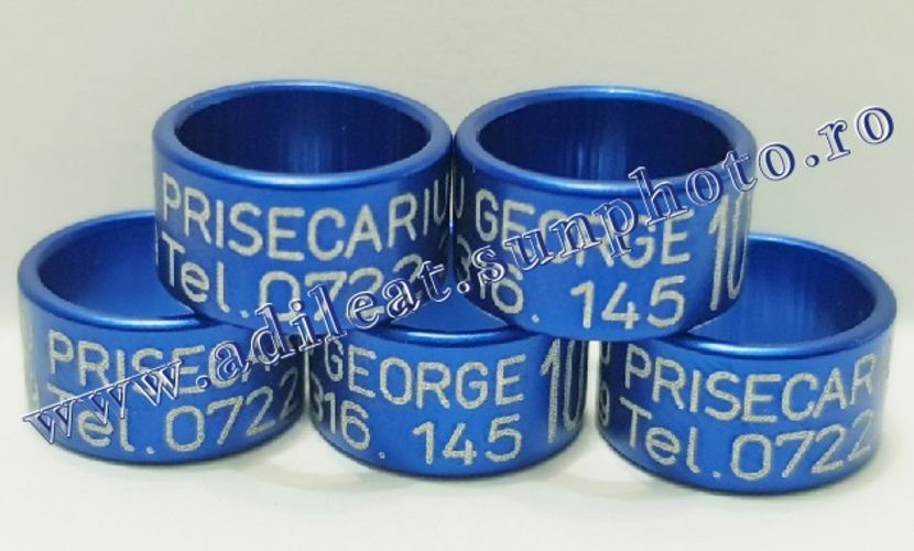 TextArt_190403222257 - 1-A-INELE PERSONALIZATE 2019