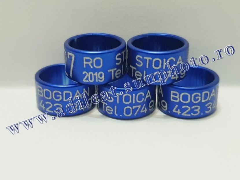 TextArt_190403222211 - 1-A-INELE PERSONALIZATE 2019