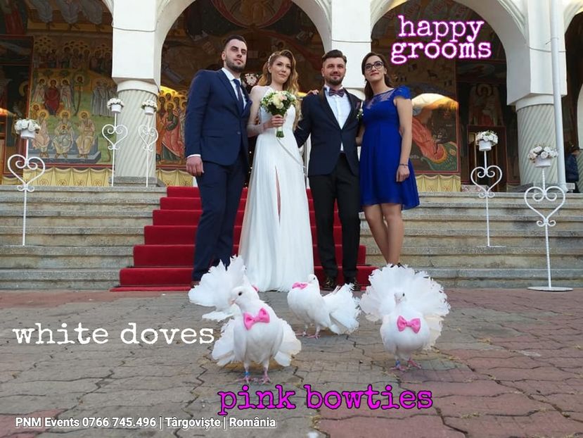 White doves with pink bowties - Pink bowties and white doves