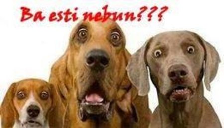 Eurovision 2018 - 2018 Eurovision Song Contest Part 14