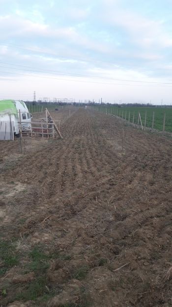  - Livada 1 anul ll 2019