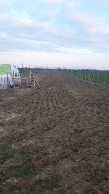  - Livada 1 anul ll 2019