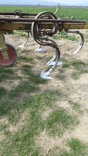  - Livada 1 anul ll 2019