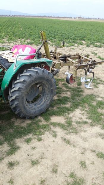  - Livada 1 anul ll 2019