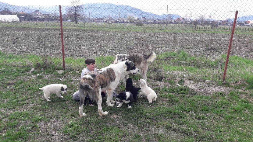 06.04.2019 - ASIA - CENTRALĂ