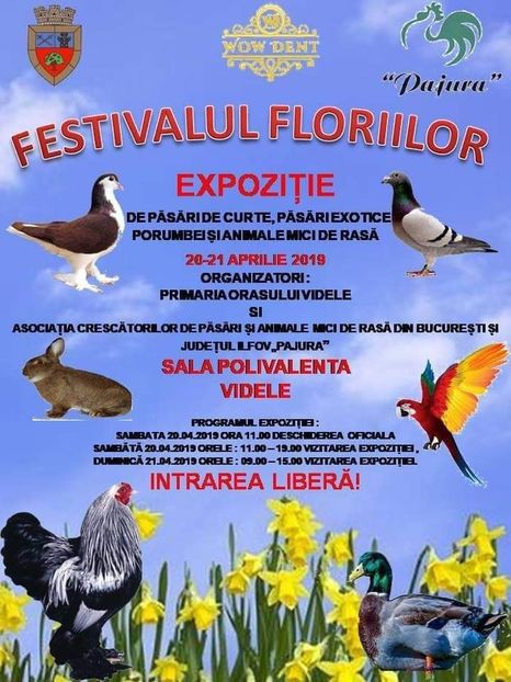  - T--TARGURI SI EXPOZITII