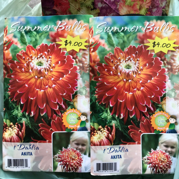  - Jurnalul gradinii 2019