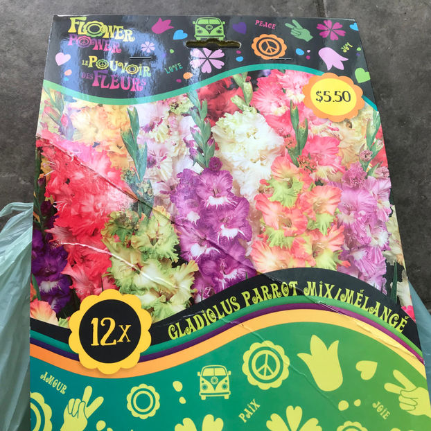  - Jurnalul gradinii 2019