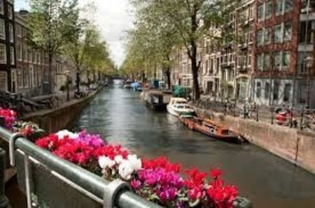 images (8) - 2-Amsterdam-2