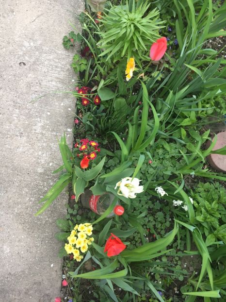 B07EB4A6-6008-4D5F-B02B-F73F75445674 - Aprilie