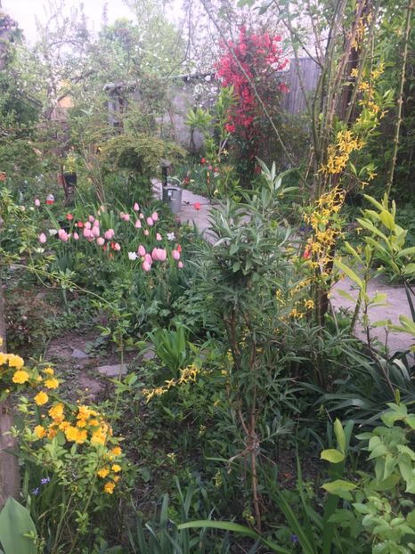 1888AF4C-A763-4DD5-928D-D89C95C10078 - Aprilie