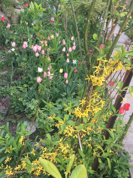 3C79C708-8A9A-47A6-BE6D-CC796A6473C1 - Aprilie