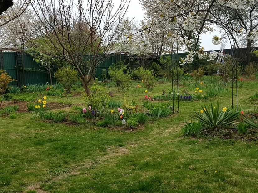  - 2019 Idilic garden