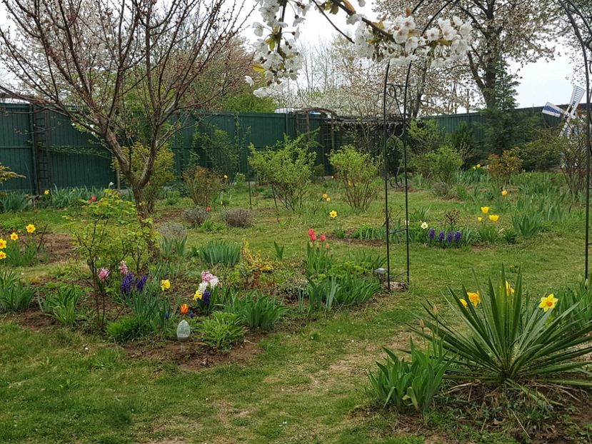  - 2019 Idilic garden