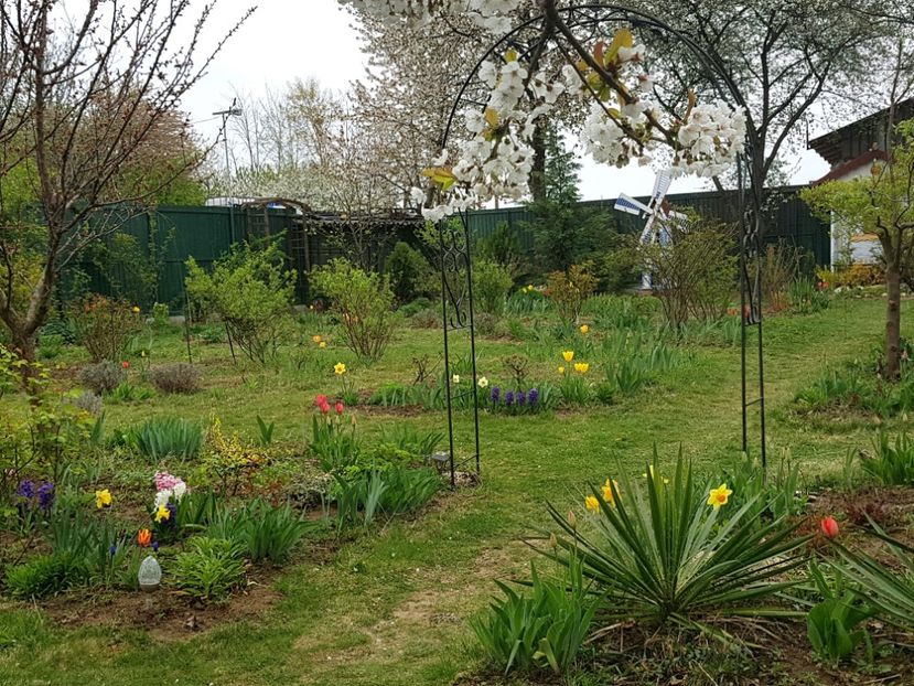  - 2019 Idilic garden